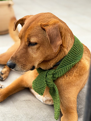 Lykkelig Valp Skjerf til Hund - Louise Bollanos