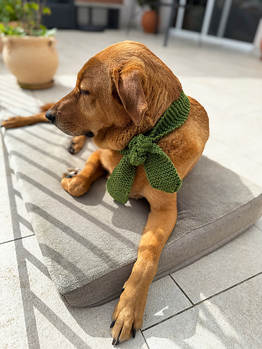 Lykkelig Valp Skjerf til Hund - Louise Bollanos