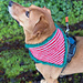 Christmas Elf Dog Bandana pattern 