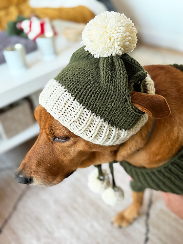 Bobble Dog Hat With Ear Holes photo 1