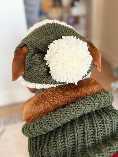 Bobble Dog Hat With Ear Holes photo 6