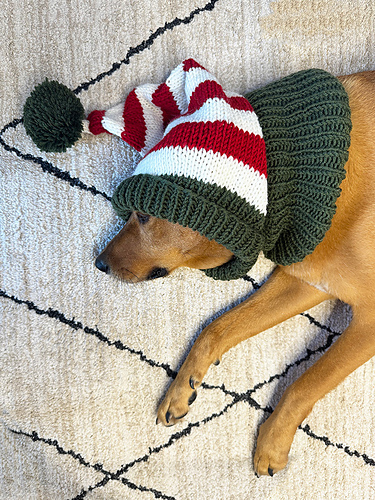 Dog Elf Hat