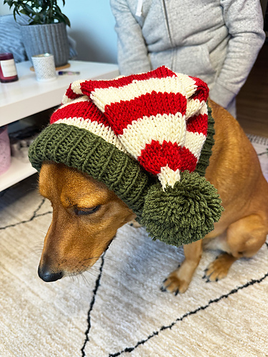 Dog Elf Hat photo 4