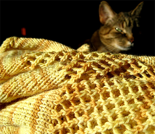 stripe shawl