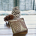 Fir-Cone Sachet pattern 