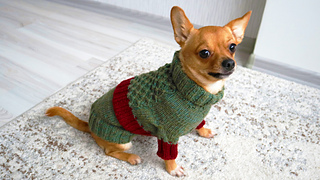 elf dog sweater