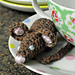 Platypus, Pig, Seal, Octopus, Mouse and Snail photo 3