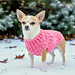 Cute & Quick Dog Sweater pattern 