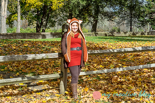 Firestorm Fox Scoodie photo 4
