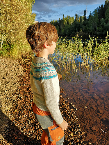 185-1 a Dalvik sweater photo 4