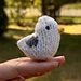 pocket seagull mała mewa pattern