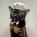Flared toque hat for cat pattern