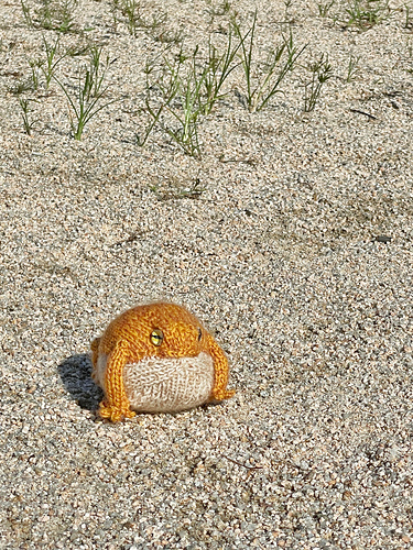 Desert Rain-Frosk - Yu Jeong