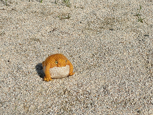 Desert Rain-Frosk - Yu Jeong