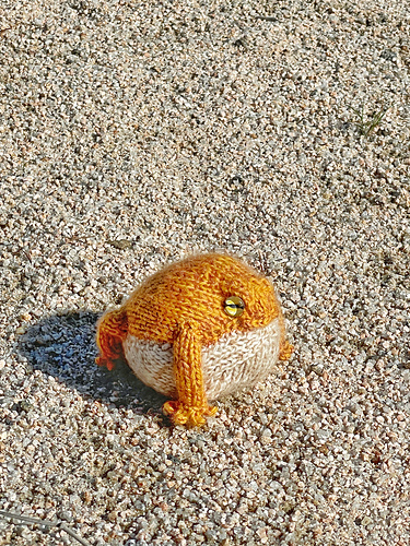 Desert Rain-Frosk - Yu Jeong