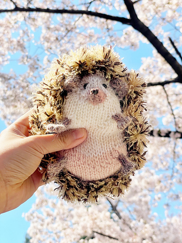 Hedgehog