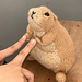 Prairie dog pattern
