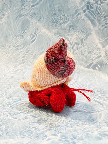 Hermit crab