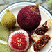 Project Fig pattern 