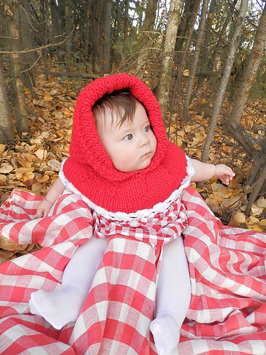 Little Red Riding Hood/ Christmas Hood photo 4