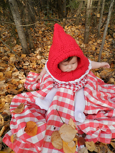 Little Red Riding Hood/ Christmas Hood photo 5
