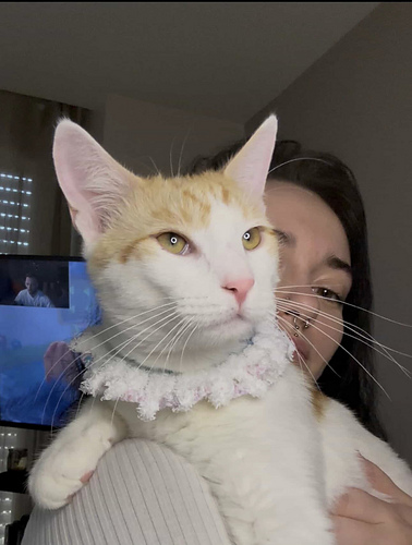 Cherry Cupcake Collar