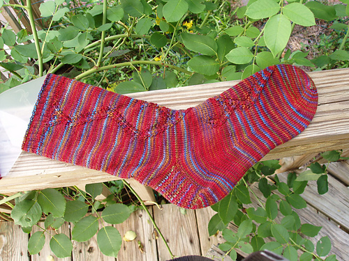 Weedy Sea Dragon Socks photo 2
