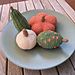 Pumpkins & Gourds pattern 