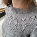 Chaetoceros Diatom Sweater pattern 