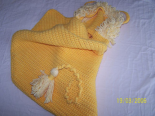 Lion Baby Wrap photo 4