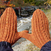 Leamh Mittens pattern 