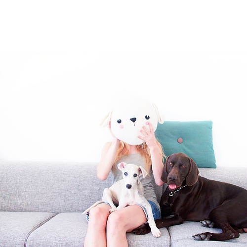 Dog Pillow photo 1