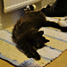Recycled T-Shirt Rug photo 4