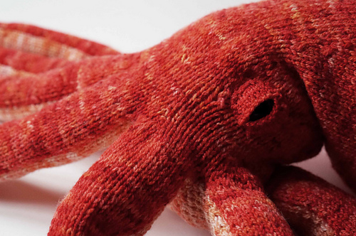 Opus the Octopus photo 3