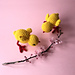 Little Lottie The Chick photo 3