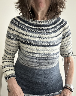 Sleeves added in one piece top down