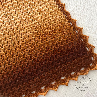 Cluster stitch crochet blanket with a shell stitch border