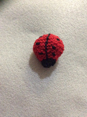 Ladybird photo 7