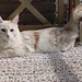 Easy bench cushion from recycled yarn pattern 