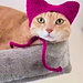 Cat Ear Beanie Pet Hat pattern