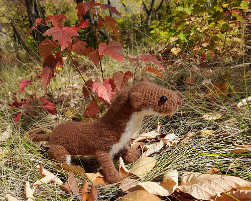 Weasel