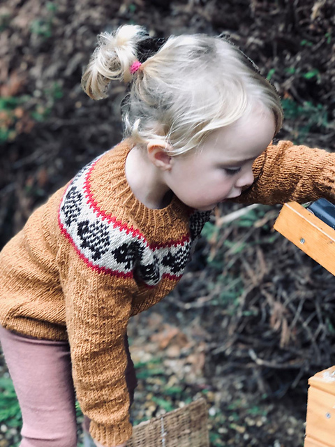 hedgehog jumper