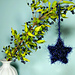 Twinkle Twinkle Little Star photo 3