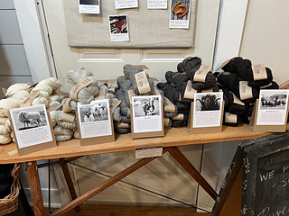 the colors and the sheep they come from. photo taken in Olde School