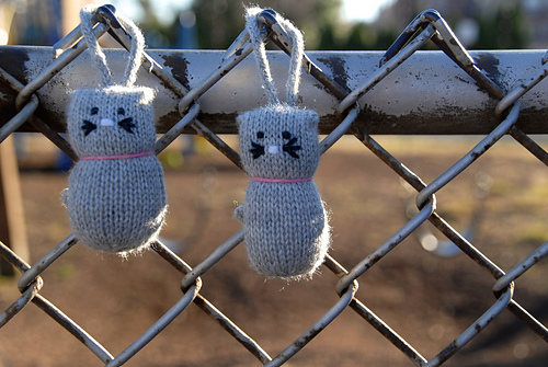 Knittin' Kittens - daniel