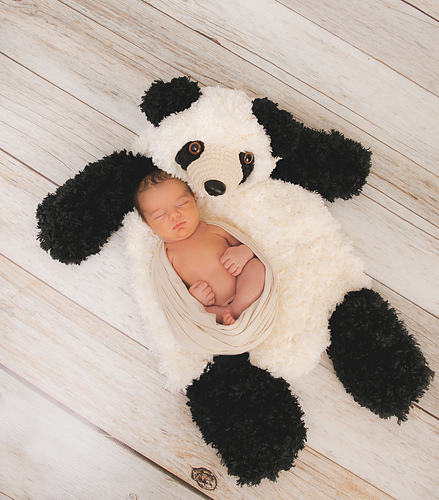 Faux Bear Skin Nursery Rug - AppleTree Photography