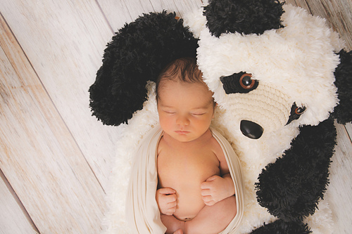 Faux Bear Skin Nursery Rug - AppleTree Photography