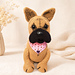 französische Bulldogge Fiona pattern