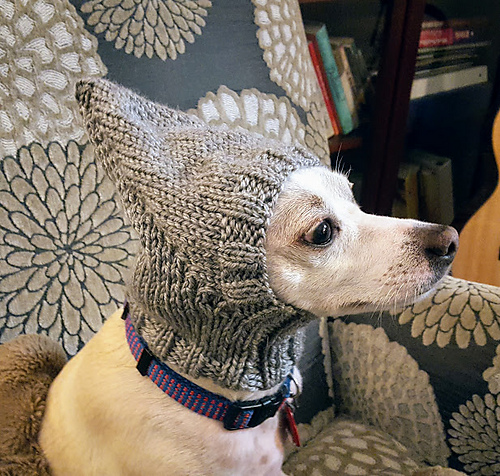 Pointy Dog Hat photo 2