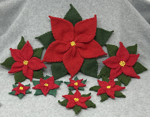 Poinsettias on Parade